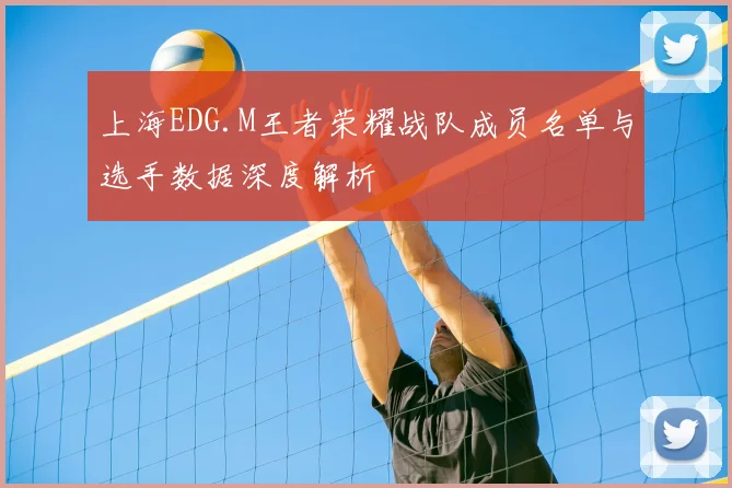 上海EDG.M王者荣耀战队成员名单与选手数据深度解析