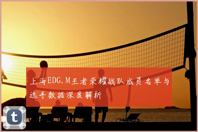 上海EDG.M王者荣耀战队成员名单与选手数据深度解析